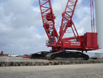 Crane Mat Photo